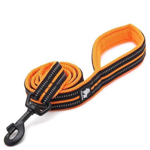 Visibility Leash