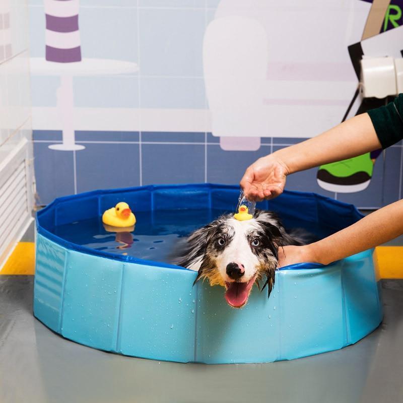 Foldable Dog Swimming Pool