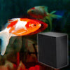 Eco-Aquarium Water Purifier Cube