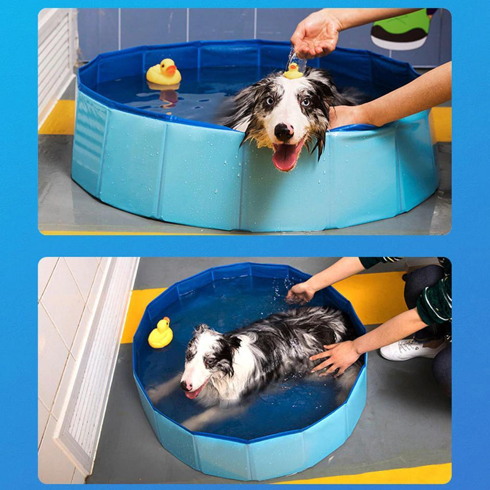 Foldable Dog Swimming Pool